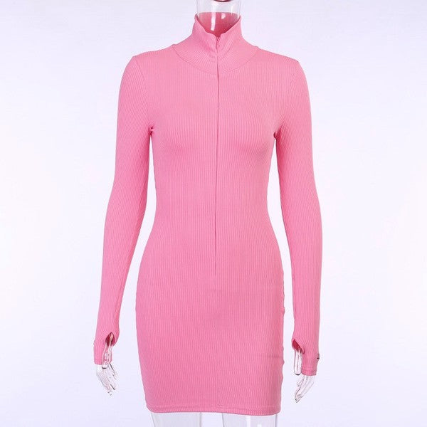 High Collared Cuff Embroidered Zipper Dress