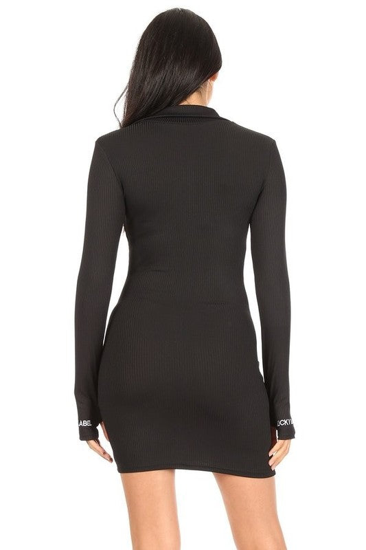High Collared Cuff Embroidered Zipper Dress