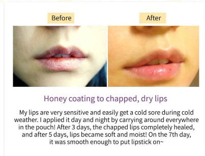 FRUIDA Hydrating Honey Lip Balm