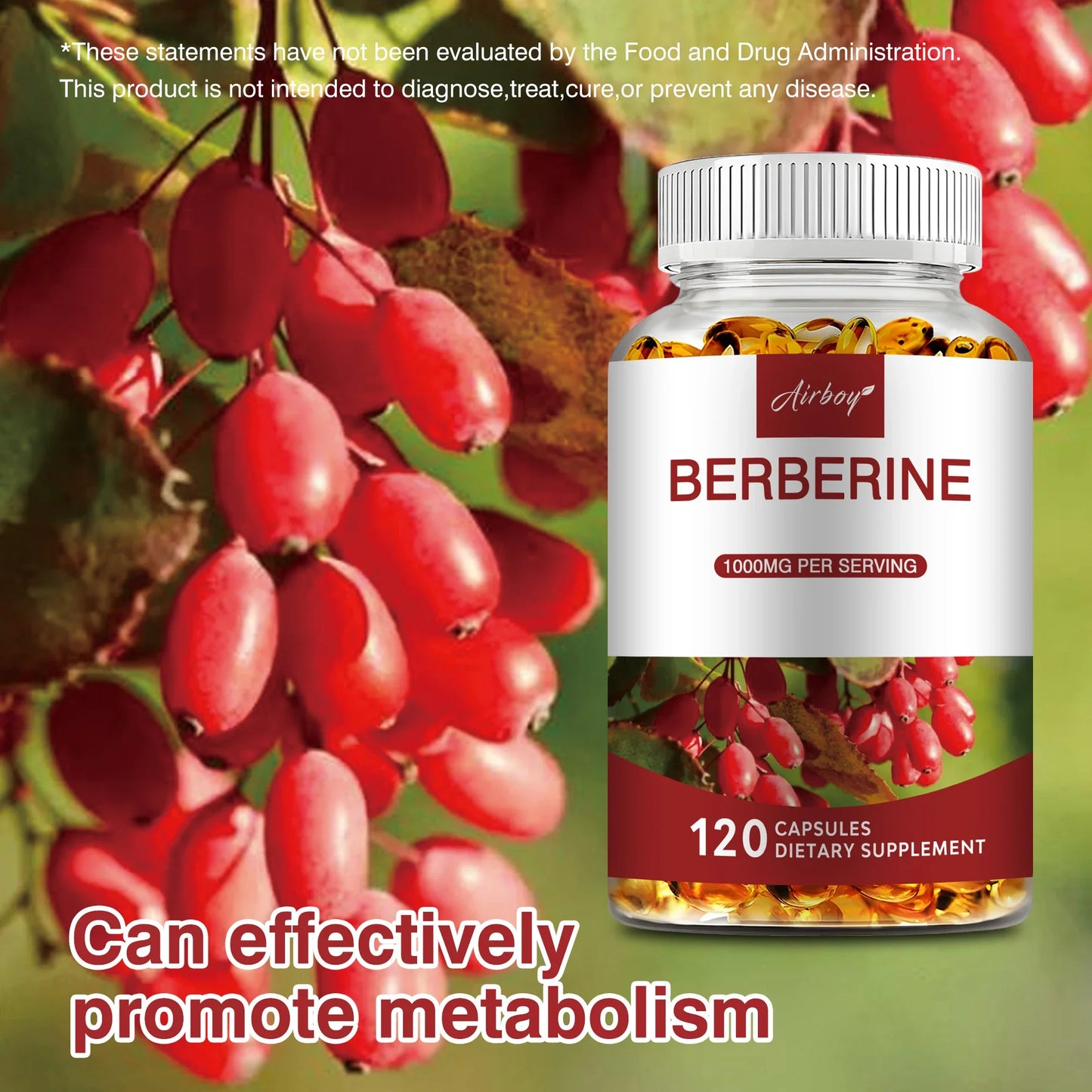 Berberine - Blood Sugar Balance, Supports Cardiovascular and Digestive Health, Antioxidant - 120 Capsules