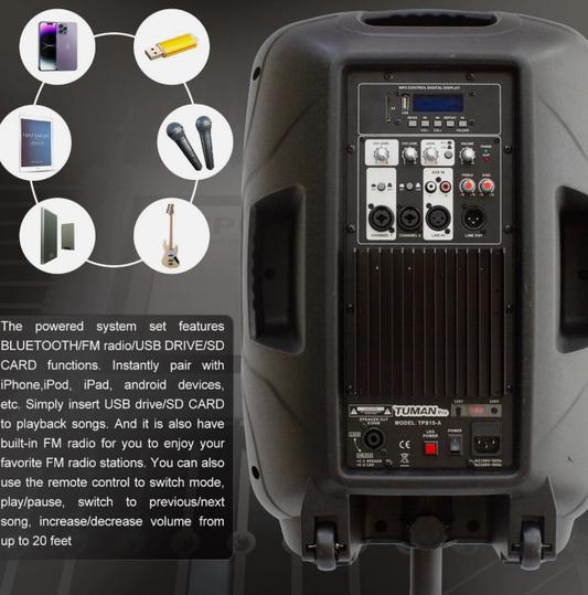 Wireless Speakers & 2 Mics