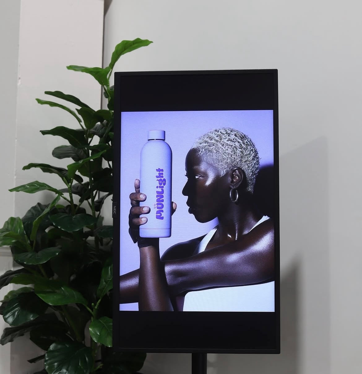 TV Display