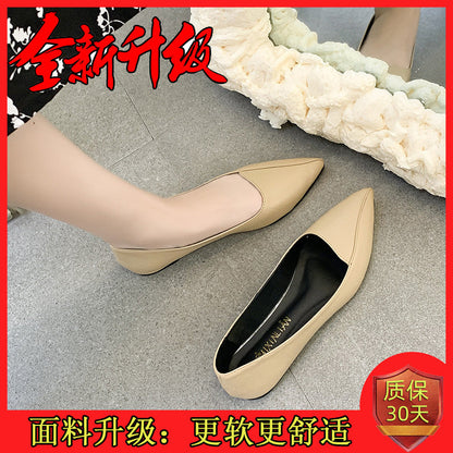 Flat shoes female 2021 early spring new pattern Sharp point Flat bottom comfort Doug shoes Internet celebrity Soft skin soft sole Versatile Ladle shoes tide