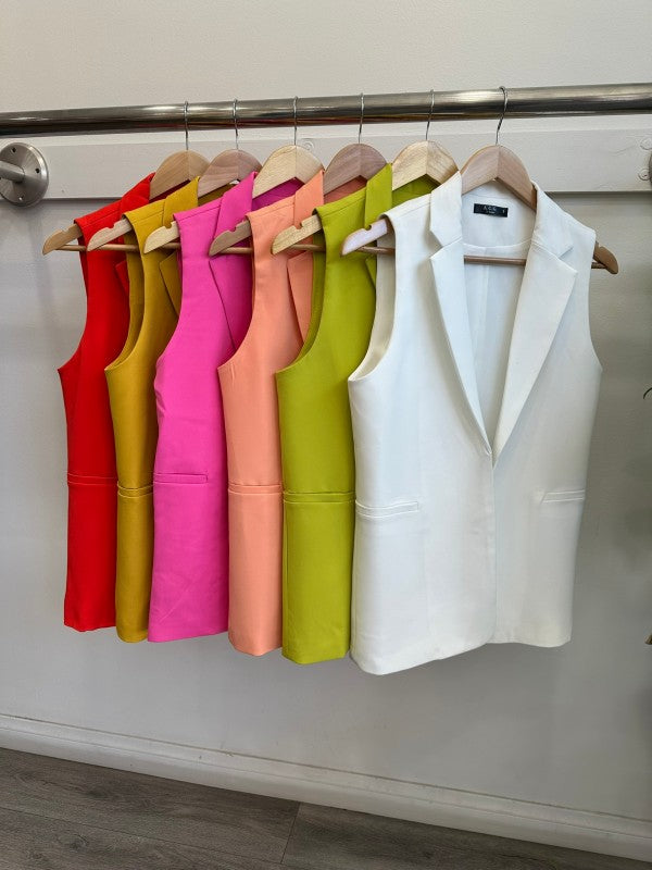 Pleated Shorts & Vest Set