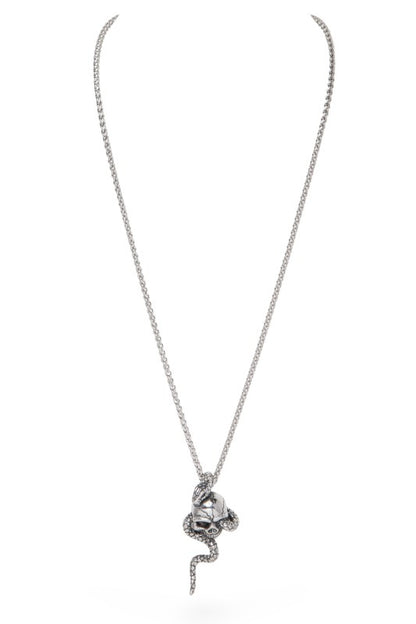 Silver pendant necklace featuring a detailed skull entwined with a coiled snake—bold, symbolic, and perfect for edgy or gothic-inspired style.
